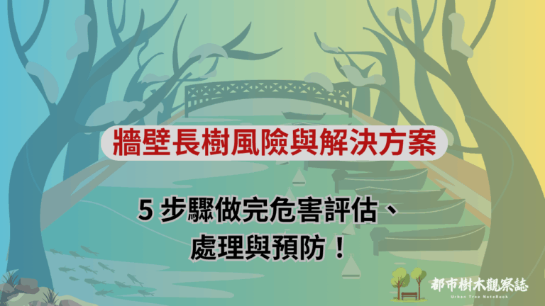 牆壁長樹風險與解決方案：5 步驟做完危害評估、處理與預防！