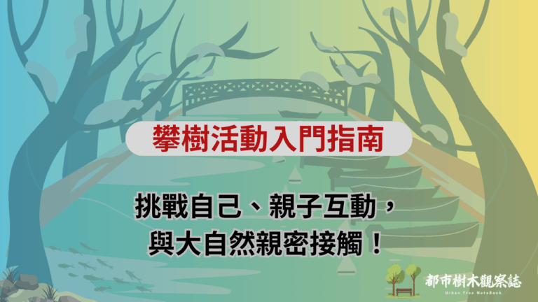 攀樹活動入門指南：挑戰自己、親子互動，與大自然親密接觸！